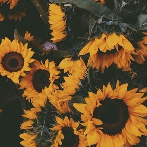 Meet your Posher, Kaley